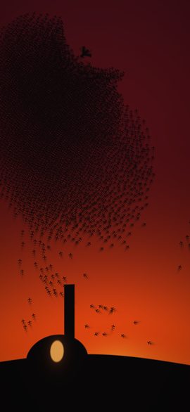 The phone wallpaper of Murmuration